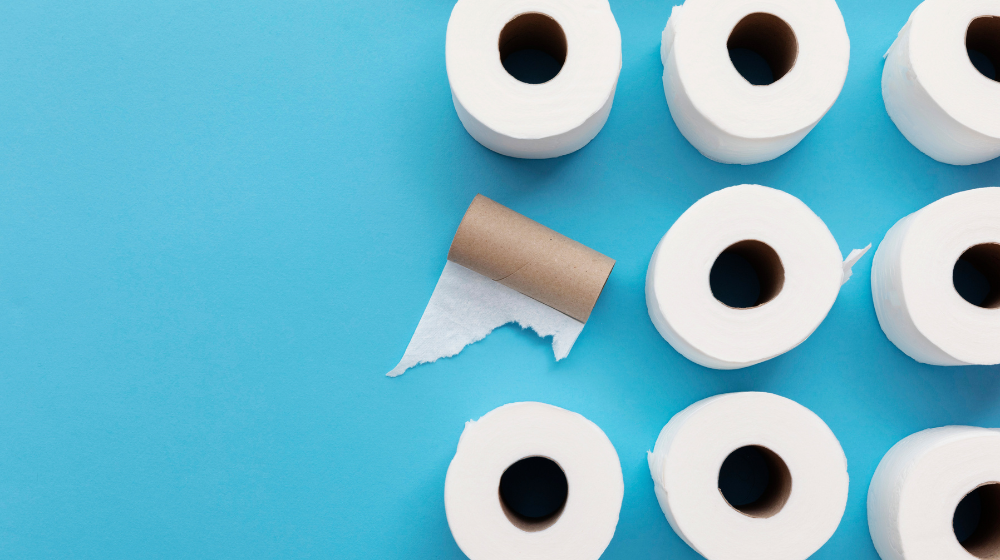 Toilet paper rolls lined up on a blue background